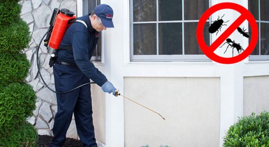 Pülümür Hamam Böceği İlaçlama böcek ilaçlama ve haşere kontrolü — ilaclama-tr.com